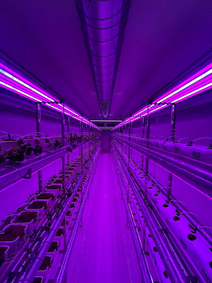 4-level vertical farming racks at Fragaria farm